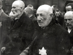 Poland, Oświęcim, az auschwitz–birkenaui koncentrációs tábor., 1944, Lili Jacob, holocaust, antisemitism, concentration camp, Holocaust train, Fortepan #172098