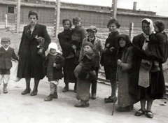 Poland, Oświęcim, az auschwitz–birkenaui koncentrációs tábor., 1944, Lili Jacob, holocaust, antisemitism, concentration camp, Fortepan #172105