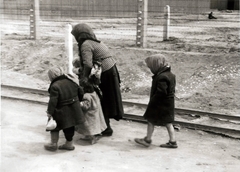 Poland, Oświęcim, az auschwitz–birkenaui koncentrációs tábor., 1944, Lili Jacob, holocaust, antisemitism, concentration camp, Fortepan #172106