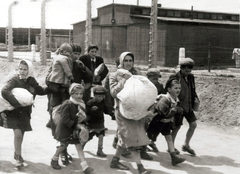 Poland, Oświęcim, az auschwitz–birkenaui koncentrációs tábor., 1944, Lili Jacob, holocaust, antisemitism, concentration camp, Fortepan #172108