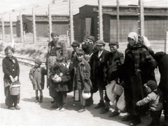 Poland, Oświęcim, az auschwitz–birkenaui koncentrációs tábor., 1944, Lili Jacob, holocaust, antisemitism, concentration camp, Fortepan #172109