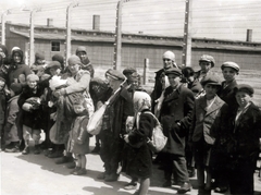 Poland, Oświęcim, az auschwitz–birkenaui koncentrációs tábor., 1944, Lili Jacob, holocaust, antisemitism, concentration camp, Fortepan #172110