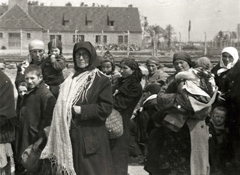 Poland, Oświęcim, az auschwitz–birkenaui koncentrációs tábor., 1944, Lili Jacob, holocaust, antisemitism, concentration camp, Holocaust train, Fortepan #172114