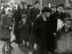 Poland, Oświęcim, az auschwitz–birkenaui koncentrációs tábor., 1944, Lili Jacob, holocaust, antisemitism, concentration camp, Fortepan #172115