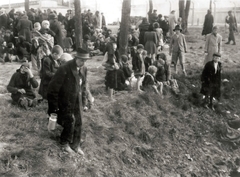 Poland, Oświęcim, az auschwitz–birkenaui koncentrációs tábor., 1944, Lili Jacob, holocaust, antisemitism, concentration camp, Fortepan #172123