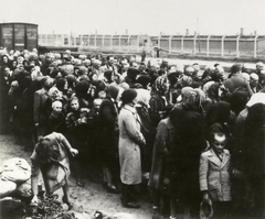 Poland, Oświęcim, az auschwitz–birkenaui koncentrációs tábor., 1944, Lili Jacob, holocaust, antisemitism, concentration camp, Holocaust train, Fortepan #172125