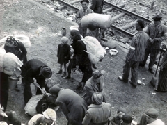 Poland, Oświęcim, az auschwitz–birkenaui koncentrációs tábor., 1944, Lili Jacob, holocaust, antisemitism, concentration camp, Fortepan #172126