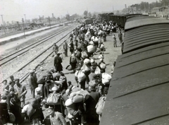 Poland, Oświęcim, az auschwitz–birkenaui koncentrációs tábor., 1944, Lili Jacob, holocaust, antisemitism, concentration camp, Holocaust train, Fortepan #172127