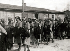 Poland, Oświęcim, az auschwitz–birkenaui koncentrációs tábor., 1944, Lili Jacob, holocaust, antisemitism, concentration camp, Fortepan #172134