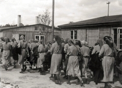 Poland, Oświęcim, az auschwitz–birkenaui koncentrációs tábor., 1944, Lili Jacob, holocaust, antisemitism, concentration camp, Fortepan #172136