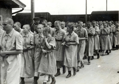 Poland, Oświęcim, az auschwitz–birkenaui koncentrációs tábor., 1944, Lili Jacob, holocaust, antisemitism, concentration camp, Fortepan #172140