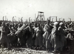 Poland, Oświęcim, az auschwitz–birkenaui koncentrációs tábor., 1944, Lili Jacob, holocaust, antisemitism, concentration camp, Fortepan #172141