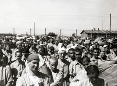 Poland, Oświęcim, az auschwitz–birkenaui koncentrációs tábor., 1944, Lili Jacob, holocaust, antisemitism, concentration camp, Fortepan #172144