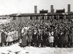 Poland, Oświęcim, az auschwitz–birkenaui koncentrációs tábor., 1944, Lili Jacob, holocaust, antisemitism, concentration camp, Fortepan #172145