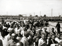 Poland, Oświęcim, az auschwitz–birkenaui koncentrációs tábor., 1944, Lili Jacob, holocaust, antisemitism, concentration camp, Fortepan #172146