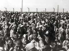 Poland, Oświęcim, az auschwitz–birkenaui koncentrációs tábor., 1944, Lili Jacob, holocaust, antisemitism, concentration camp, Fortepan #172147