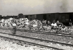 Poland, Oświęcim, az auschwitz–birkenaui koncentrációs tábor., 1944, Lili Jacob, holocaust, antisemitism, concentration camp, Holocaust train, Fortepan #172148