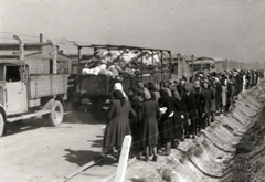 Poland, Oświęcim, az auschwitz–birkenaui koncentrációs tábor., 1944, Lili Jacob, holocaust, antisemitism, concentration camp, Fortepan #172150