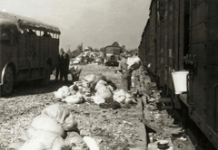 Poland, Oświęcim, az auschwitz–birkenaui koncentrációs tábor., 1944, Lili Jacob, holocaust, antisemitism, concentration camp, Holocaust train, Fortepan #172151