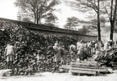 Poland, Oświęcim, az auschwitz–birkenaui koncentrációs tábor., 1944, Lili Jacob, holocaust, antisemitism, concentration camp, Fortepan #172163