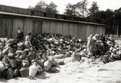 Poland, Oświęcim, az auschwitz–birkenaui koncentrációs tábor., 1944, Lili Jacob, holocaust, antisemitism, concentration camp, Fortepan #172164