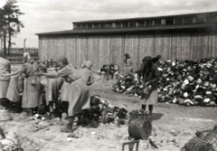 Poland, Oświęcim, az auschwitz–birkenaui koncentrációs tábor., 1944, Lili Jacob, holocaust, antisemitism, concentration camp, Fortepan #172165