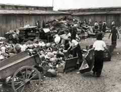 Lengyelország, Oświęcim, az auschwitz–birkenaui koncentrációs tábor., 1944, Lili Jacob, holokauszt, antiszemitizmus, koncentrációs tábor, Fortepan #172166