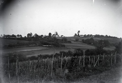 Magyarország, Zalaegerszeg, szemben a Szentháromság-kápolna / egerszeghegyi kápolna., 1911, Göcseji Múzeum / Morandini-Schlemmer hagyaték, szőlő, Fortepan #172191