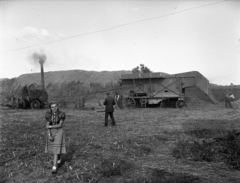 Magyarország, Enying, Alsótekeres-puszta, ekkor az önálló Balatonbozsok község része, ma mindkettő a város része. Schrikker uradalom, cséplés., 1938, Ormos Imre Alapítvány, Ormos Imre, cséplőgép, aratás, cséplés, gőzgép, szíjhajtás, kazal, lokomobil, Fortepan #173111