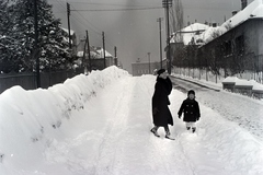 Magyarország, Budapest XII., Törpe utca, háttérben a Kerületi elöljáróság (később Polgármesteri Hivatal) épülete., 1942, Ormos Imre Alapítvány, Ormos Imre, Budapest, Fortepan #173191