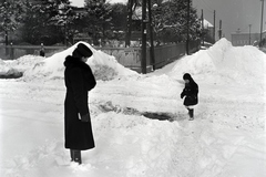 Magyarország, Budapest XII., Apor Vilmos tér (Pilsudszky út) - Törpe utca sarok. Jobbra a távolban a Kerületi elöljáróság (később Polgármesteri Hivatal) épülete., 1942, Ormos Imre Alapítvány, Ormos Imre, Budapest, Fortepan #173193