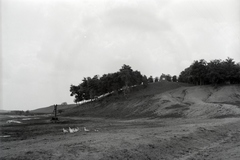 Magyarország, Dég, jobbra a Gilányi-hegyen az első világháborús emlékmű (Burján Jenő, 1927.) látható., 1940, Ormos Imre Alapítvány, Ormos Imre, Fortepan #173262