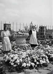 Magyarország, Balatonakarattya, a felvétel a Hosszúmező utca és a Csaba utca sarkán álló nyaraló kertjében készült., 1938, Ormos Imre Alapítvány, Ormos Imre, virág, kötény, díszkert, cseléd, Fortepan #173399