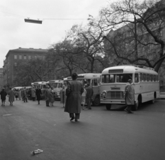 Magyarország, Budapest V., József nádor tér a József Attila utca felől a Vörösmarty tér irányába nézve., 1961, Kotnyek Antal, Ikarus 31/311, Budapest, libasor, parkoló, Fortepan #173938