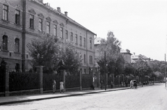 Románia,Erdély, Kolozsvár, Mikó utca (strada Clinicilor) a Béke tér (Piata Lucian Blaga) felől nézve, szemben az orvosegyetem épületei, balra az Élettani tanszék., 1941, Aszódi Zoltán, Fortepan #174078