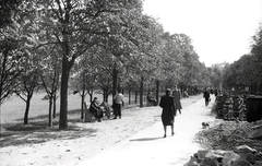 Magyarország, Budapest I., Krisztina körút a Déli pályaudvar felől nézve, balra a Vérmező., 1940, Kellner Ludwig, Budapest, Fortepan #174335