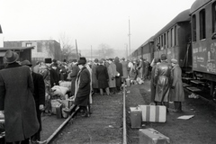 A felvétel, a Műegyetem tanárainak és diákjainak Németországba történő kitelepítésekor, 1944 - 1945 telén készült., 1944, Kuncze Magdolna, label, suitcase, leather jacket, train, ground cloth, displacement, Fortepan #174402