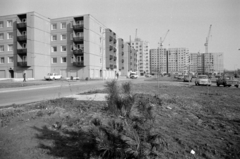 Magyarország, Budapest IV., Káposztásmegyeri lakótelep, Óceánárok utca, panelházak a Falemez utca és a Lóverseny tér között., 1986, Péterffy István, Trabant-márka, építkezés, panelház, daru, Budapest, Fortepan #174454