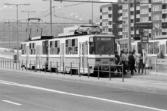 Magyarország, Óbuda, Budapest III., villamosmegálló az Árpád híd budai hídfőjénél, balra a háttérben a Szőlő utcai sávház (Faluház) látszik., 1985, Péterffy István, villamos, Budapest, Fortepan #174561