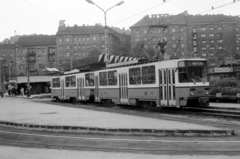 Magyarország, Budapest I.,Budapest II., Széll Kálmán (Moszkva) tér, háttérben a Vérmező út házsora., 1986, Péterffy István, Budapest, Fortepan #174582