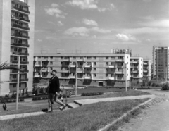 Románia,Erdély, Kolozsvár, Györgyfalvi városnegyed, Strada Unirii., 1976, Sütő András örökösei, Új Élet szerkesztőség, Fortepan #174619