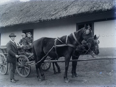 1920, Ungvári Ildikó, szekér, ló, fogat, kalap, udvar, parasztház, nádtető, lószerszám, Fortepan #174753