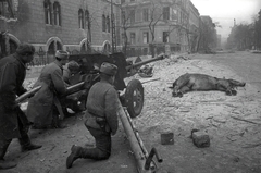 Magyarország, Budapest VIII.,Budapest IX., Üllői út a Kinizsi utca felé nézve, balra az Iparművészeti Múzeum., 1945, Vörös Hadsereg, kutya, ágyú, szovjet katona, kockakő, Budapest, térdepel, dög, ló, Fortepan #175216