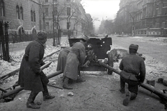 Magyarország, Budapest VIII.,Budapest IX., Üllői út a Kinizsi utca felé nézve, balra az Iparművészeti Múzeum., 1945, Vörös Hadsereg, Budapest, dög, szovjet katona, ló, Fortepan #175234