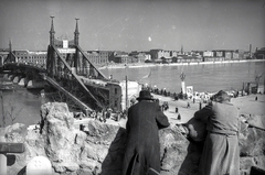 Magyarország, Budapest IX.,Budapest XI., Szabadság híd, a pontonhíddal kiegészített hídroncs a Gellérthegyről nézve., 1945, Vörös Hadsereg, Budapest, kalap, kabát, férfi, Fortepan #175257