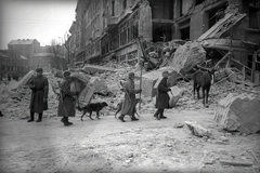 Magyarország, Budapest V.,Budapest IX., Kálvin tér a Kecskeméti utca torkolatától a Vámház körút felé nézve, jobbra a Pintér-ház romjai., 1945, Vörös Hadsereg, Budapest, háborús kár, szovjet katona, ló, kutya, utász, Fortepan #175264