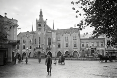 Ukraine,Zakarpattia Oblast, Mukachevo, Duhnovics (ekkor Horthy Miklós) tér, Városháza., 1944, Vörös Hadsereg, pedestrian, Horse-drawn carriage, Fortepan #175319