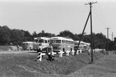 Magyarország, Dobogókő, parkoló., 1958, Chuckyeager tumblr, Ikarus 55, Ikarus 31/311, Ikarus 30, Fortepan #175449