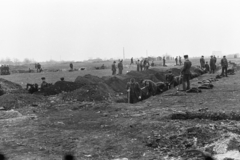 Hungary, Budapest X., az Óhegy (Barátság) park fásítása., 1973, Chuckyeager tumblr, soldier, Soviet soldier, Budapest, planting trees, Fortepan #175537