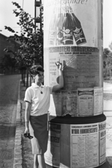 Magyarország, Budapest I., Vérmező, háttérben a Krisztina körút Maros utca és Széll Kálmán (Moszkva) tér közötti szakasza., 1962, Chuckyeager tumblr, Budapest, Fortepan #175550